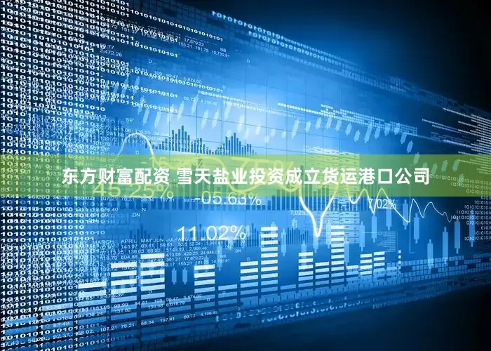 东方财富配资 雪天盐业投资成立货运港口公司
