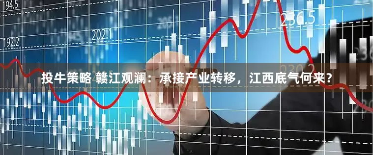 投牛策略 赣江观澜：承接产业转移，江西底气何来？