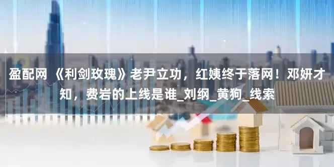 盈配网 《利剑玫瑰》老尹立功，红姨终于落网！邓妍才知，费岩的上线是谁_刘纲_黄狗_线索