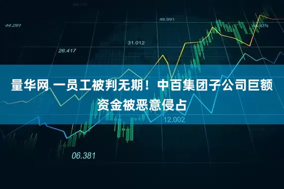 量华网 一员工被判无期！中百集团子公司巨额资金被恶意侵占