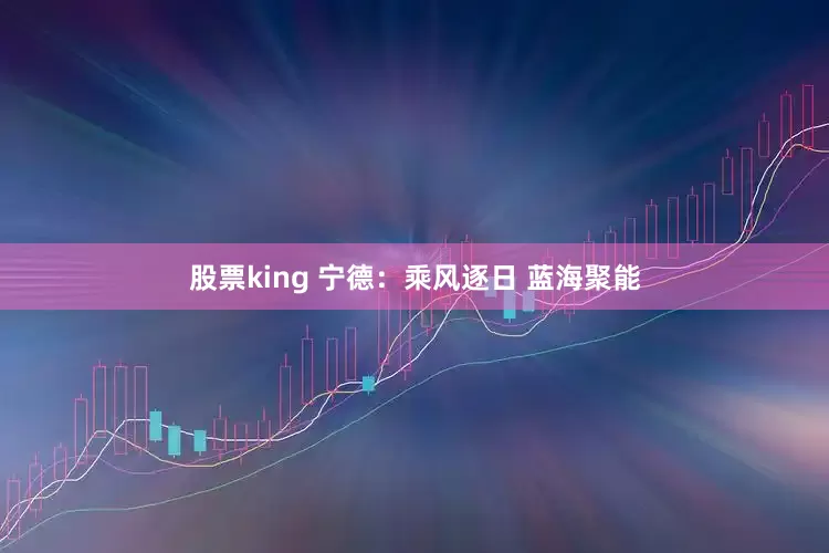 股票king 宁德：乘风逐日 蓝海聚能